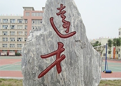 綿陽(yáng)校園景觀石雕