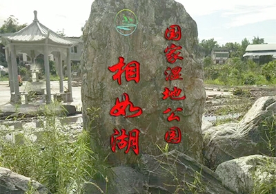 景觀(guān)巖石石雕